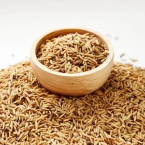 Brown Rice Paddy Seeds